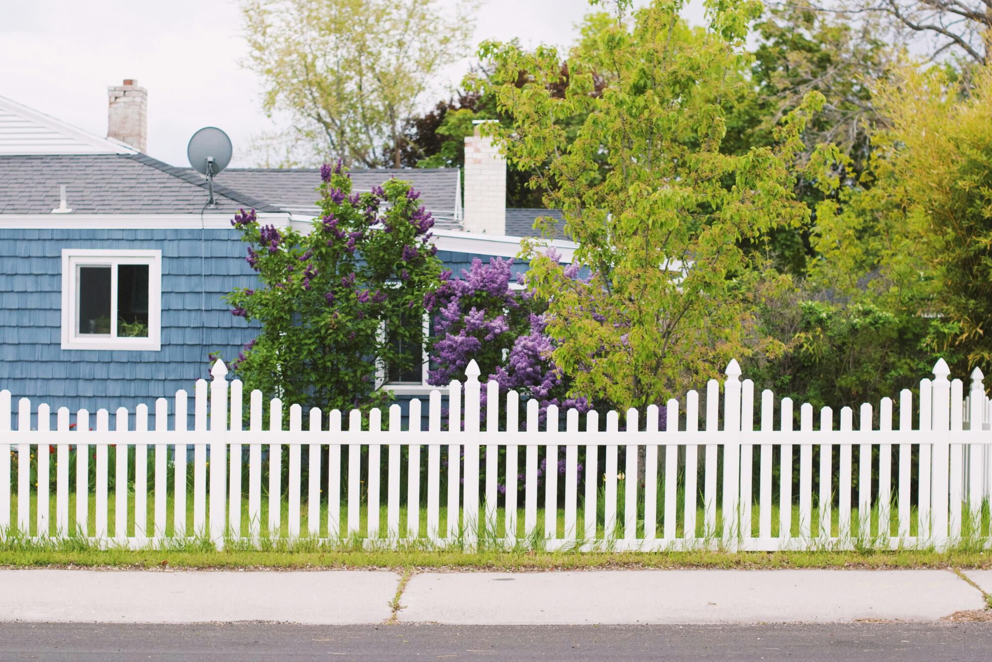 white wood fence with lilacs in Irvine, CA