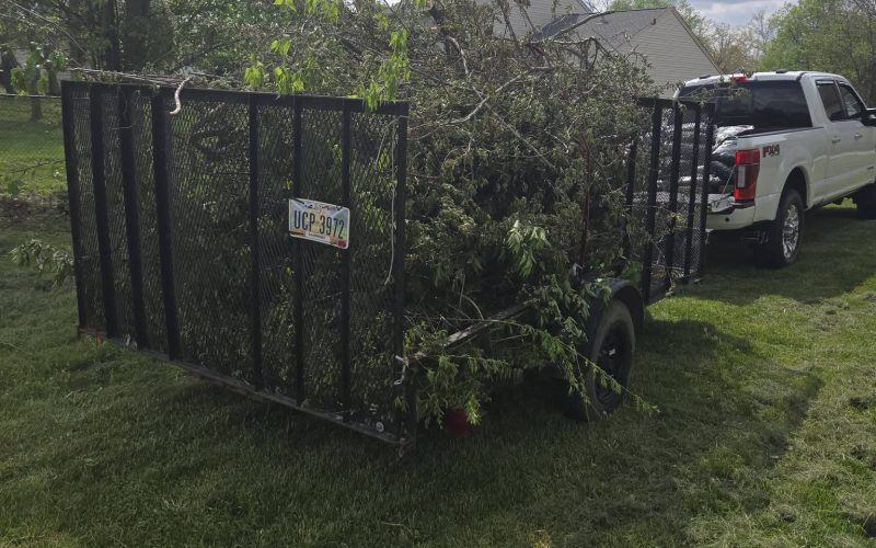 A trailer filled with branches and green waste is parked on a grassy area, with a white truck nearby and a cloudy sky overhead.